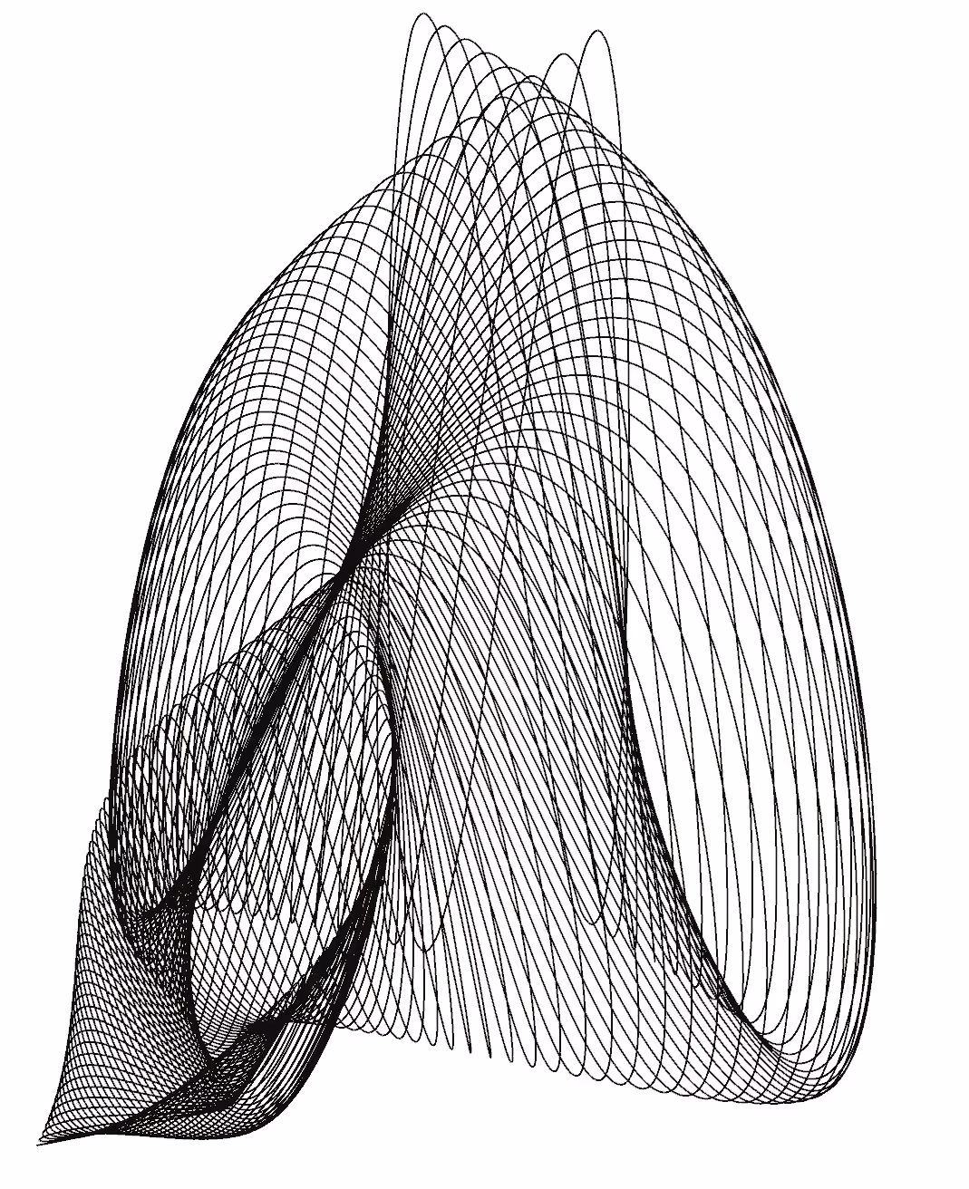 A surface derived from its own parametric definition