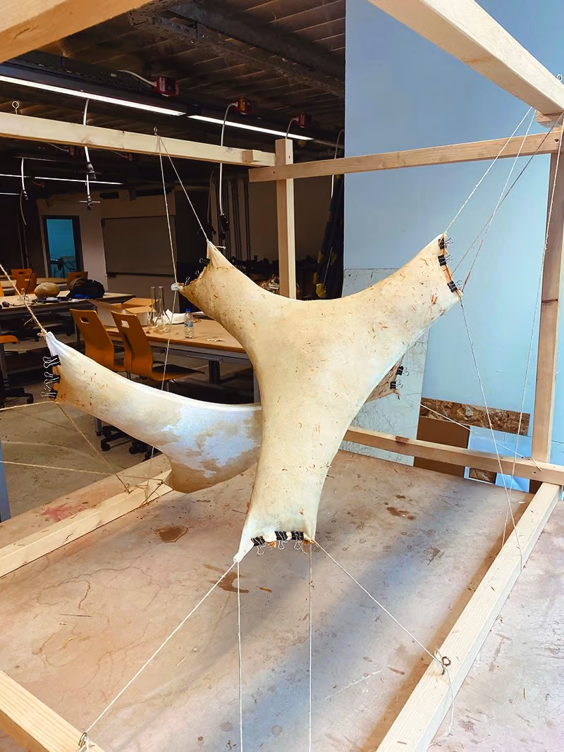 Mycelium. Grown to shape in the workshop
