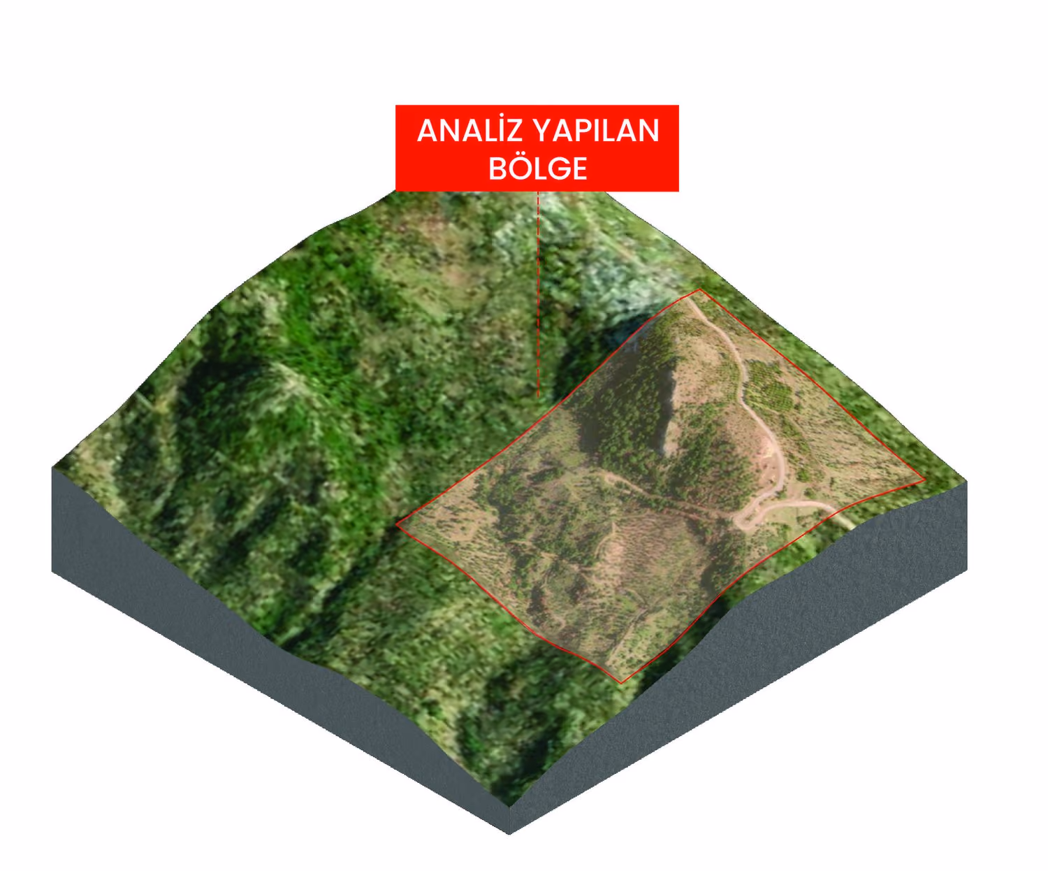 Analysed terrain. The area under study, cut from the survey