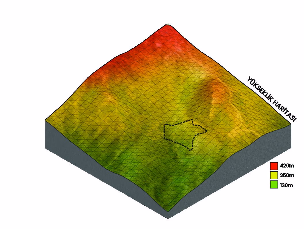 Elevation analysis. Height mapped across the site