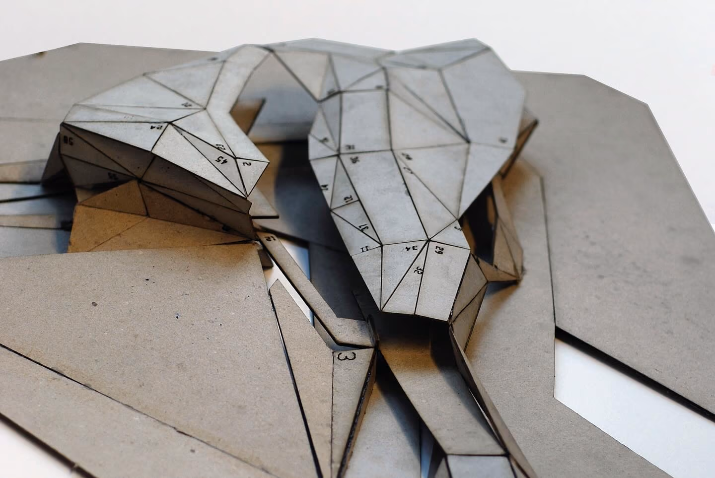 Maquettes, photographs