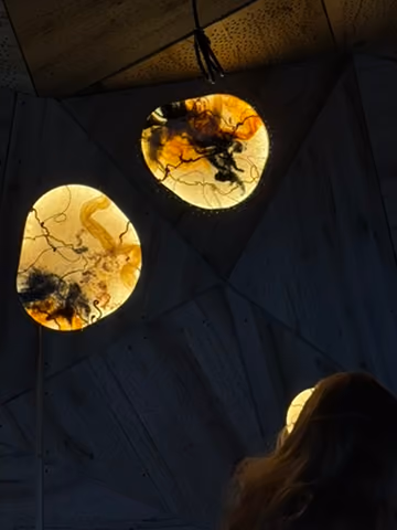 The Cocoon, process